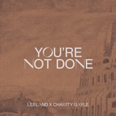 You're Not Done (Single Version) artwork