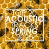 Top 20 Acoustic Tracks Spring 2020 (Instrumental)