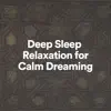 Deep Sleep Relaxation for Calm Dreaming album lyrics, reviews, download