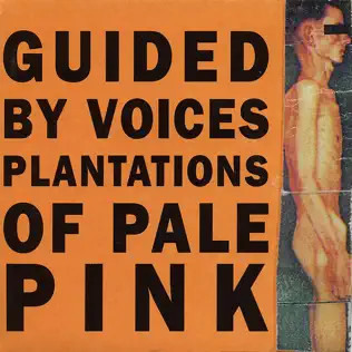 télécharger l'album Guided By Voices - Plantations Of Pale Pink