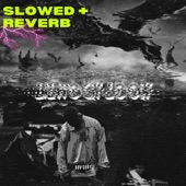 Lil Rock Look Flow 2 (feat. Yodda) [slowed + reverb] artwork