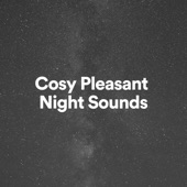 Cosy Pleasant Night Sounds artwork