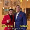 Copilul De Aur & Laura Vass - Mi-as lega viata de tine (feat. Vali Vijelie)