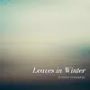 Leaves in Winter - Single album lyrics, reviews, download