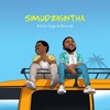 Simudzasintha - Single