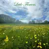 Little Flowers In the Rain (Instrumental Version) album lyrics, reviews, download