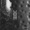11 Acid Mammoth - Garden Of Bones