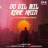 Do Dil Mil Rahe Hain (Lofi Mix) artwork