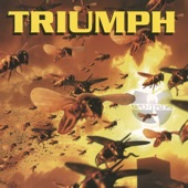 Wu-Tang Clan - Triumph (feat. Cappadonna) [Radio Edit]