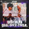 Stream & download Desculpa Qualquer Coisa (Ao Vivo) - Single