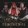 Fenomenal - Single