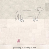 Your Dog - Droool