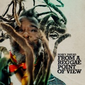 From a Reggae Point of View artwork