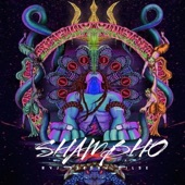 Shambho (Trippy Psychedelic Version) artwork