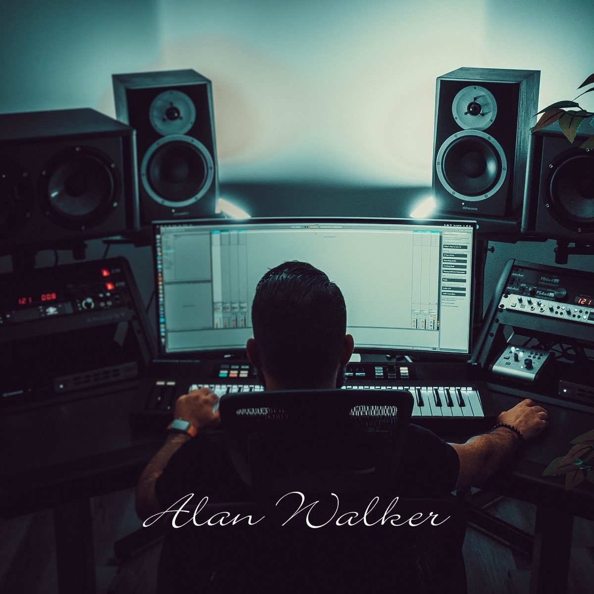Alan Walker by Awan Rizky on Apple Music