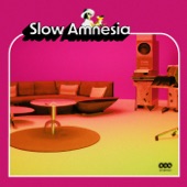 Slow Amnesia by Tommy Newport