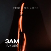 3AM (UK Mix) artwork