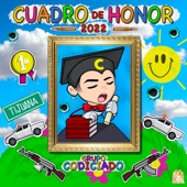 Cuadro De Honor artwork