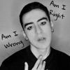 Am I Wrong Am I Right - Single