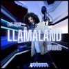Live From Llamaland Studios