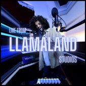 Live at Llamaland Studios artwork