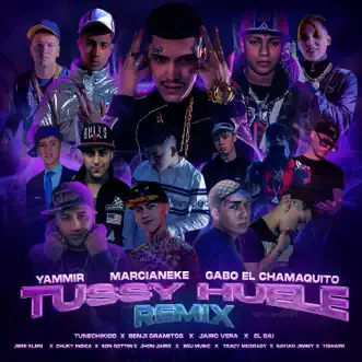 Tussy Huele (Remix) [feat. Sayian Jimmy, Gabo El Chamaquito, Tunechikidd, El Bai, Benji Gramitos, Jhon Jairo, Yammir, Edu Music, Yishark, Jere Klein, Son Gotten, Tracy McGrady, Chuky Indica & Nysix Music] - Single by El Goldo De Las Conec, Marcianeke & Jairo Vera album reviews, ratings, credits