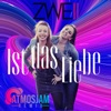 Ist das Liebe (Atmosjam Remix) - Single