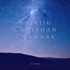 Hairiig Gantshan Chamaas - Single