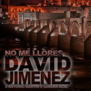 David Jimenez & Sandra Acal - No Me Llores (feat. Antonio Martín) - 排舞 音樂