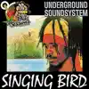 Underground Going Through (feat. Singing Bird) [Dubplate] - Single album lyrics, reviews, download