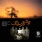 Sheyda (feat. Mahsa Vahdat) - Pejman Taheri lyrics