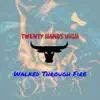 Walked Through Fire - Single album lyrics, reviews, download