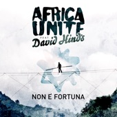 Non è Fortuna (feat. David Hinds) artwork