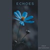 Echoes - Single