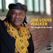 Joe Louis Walker - The Weight of the World