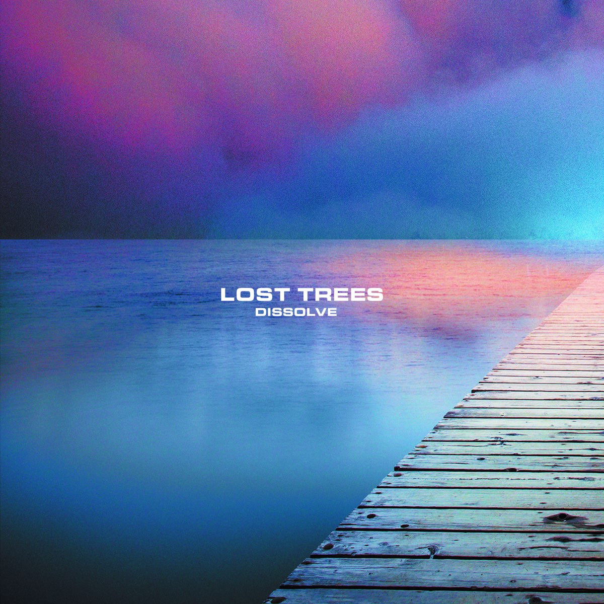 Lost tree