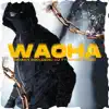 Wacha (feat. Israel Fiore) song lyrics