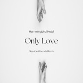 Only Love (Seaside Wounds Remix) artwork