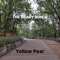 The Brady Bunch - Yellow Pear lyrics
