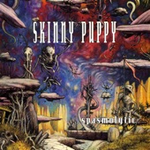 Skinny Puppy - Harsh Stone White (Live in Denver)