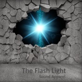 The Flash Light - EP artwork