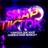 Beat Snap (Viral Tiktok) artwork