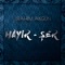 Hayır - Şer artwork