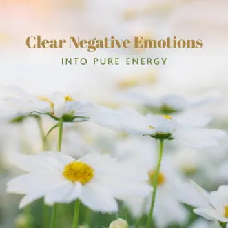 Mindfulness Meditation for Clearing Negative Emotions, Fears, And Limiting Belief to Turn into Pure Energy by Mindfulness Meditation Academy & Oasis of Relaxation Meditation album reviews, ratings, credits