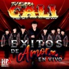 Tierra Cali - Donde Quiera Que Estes (En Vivo)
