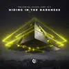 Hiding In The Darkness - Single album lyrics, reviews, download