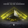 Hiding In The Darkness - Single