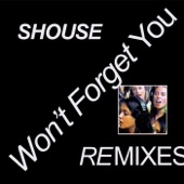 Won't Forget You (Kungs Remix Edit) artwork