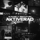 Aktiverad (Remix) artwork