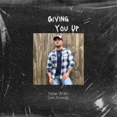 Giving You Up artwork